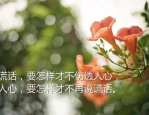 经典语录伤感人生感悟,经典伤感语录中的生命感悟
