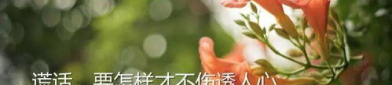 经典语录伤感人生感悟,经典伤感语录中的生命感悟