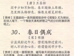 手机背景图片,解锁个性与美感的秘密