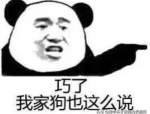 一秒笑喷的笑话短句,一秒笑喷的短句笑话精选