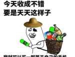 黑料网app,揭秘网络舆论背后的真相与争议