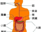 从谢娜“妊娠”乌龙看娱笑圈群情生态：理性吃瓜及吃瓜爆料群二维码：2024年最新入口与美女一起（娱笑圈中“最俊美”的女星排名次许晴只能垫底第一实至名归）！网-逐日网红变乱黑料网曝收集热点变乱51官方网站