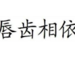 攜程網,旅行预订平台的创新与未来趋势