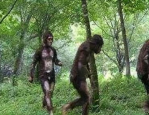 小姐姐野人部落视频,小姐姐带你领略神秘野人部落风情