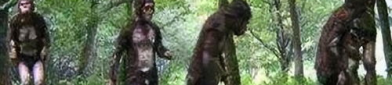 小姐姐野人部落视频,小姐姐带你领略神秘野人部落风情