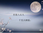 形容十五的月亮的成语,十五月亮成语之美”