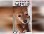 嘉定美团小姐姐电话,揭秘美食配送背后的温馨故事