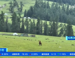 旅游官网暑期到来 各地迎来夏季旅游热潮