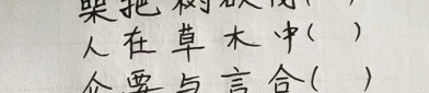 草木之中一个人打一字,一指见真谛