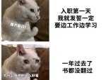 mm131私房照王雨纯,王雨纯的美丽瞬间