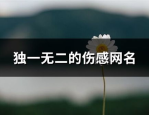 mm131私房照王雨纯,王雨纯的美丽瞬间